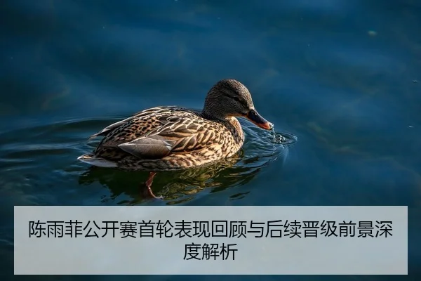 陈雨菲公开赛首轮表现回顾与后续晋级前景深度解析