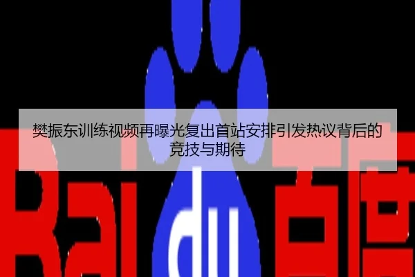 樊振东训练视频再曝光复出首站安排引发热议背后的竞技与期待